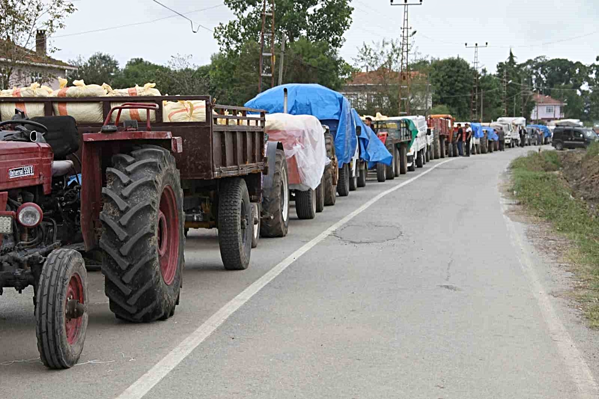 Fındık üreticisine uyarı: 'Ürününüzü ayıklayın'