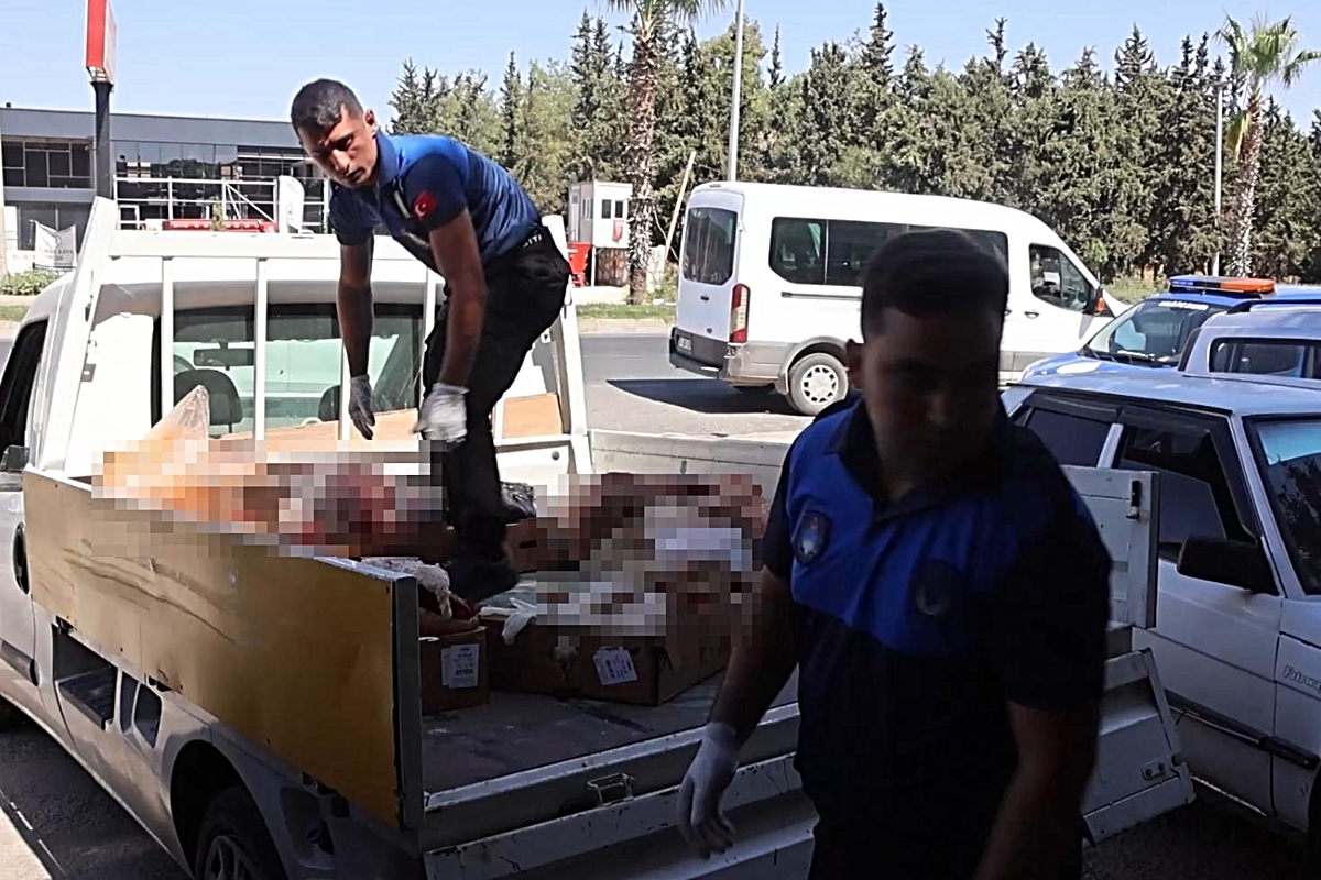Kasapta yüzlerce kilo bozuk et ele geçirildi! Vatandaşı alenen zehirleyeceklerdi