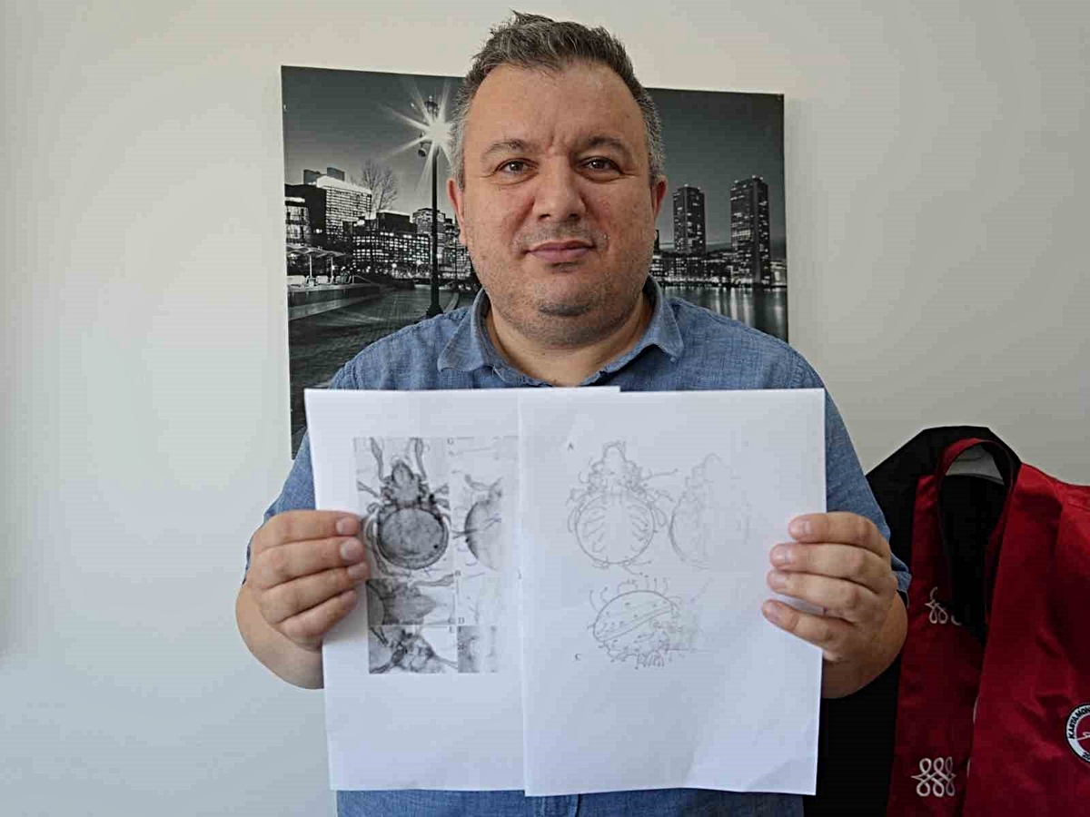 Kastamonu’da tespit edilen yeni akar türü bilim literatürüne kazandırıldı