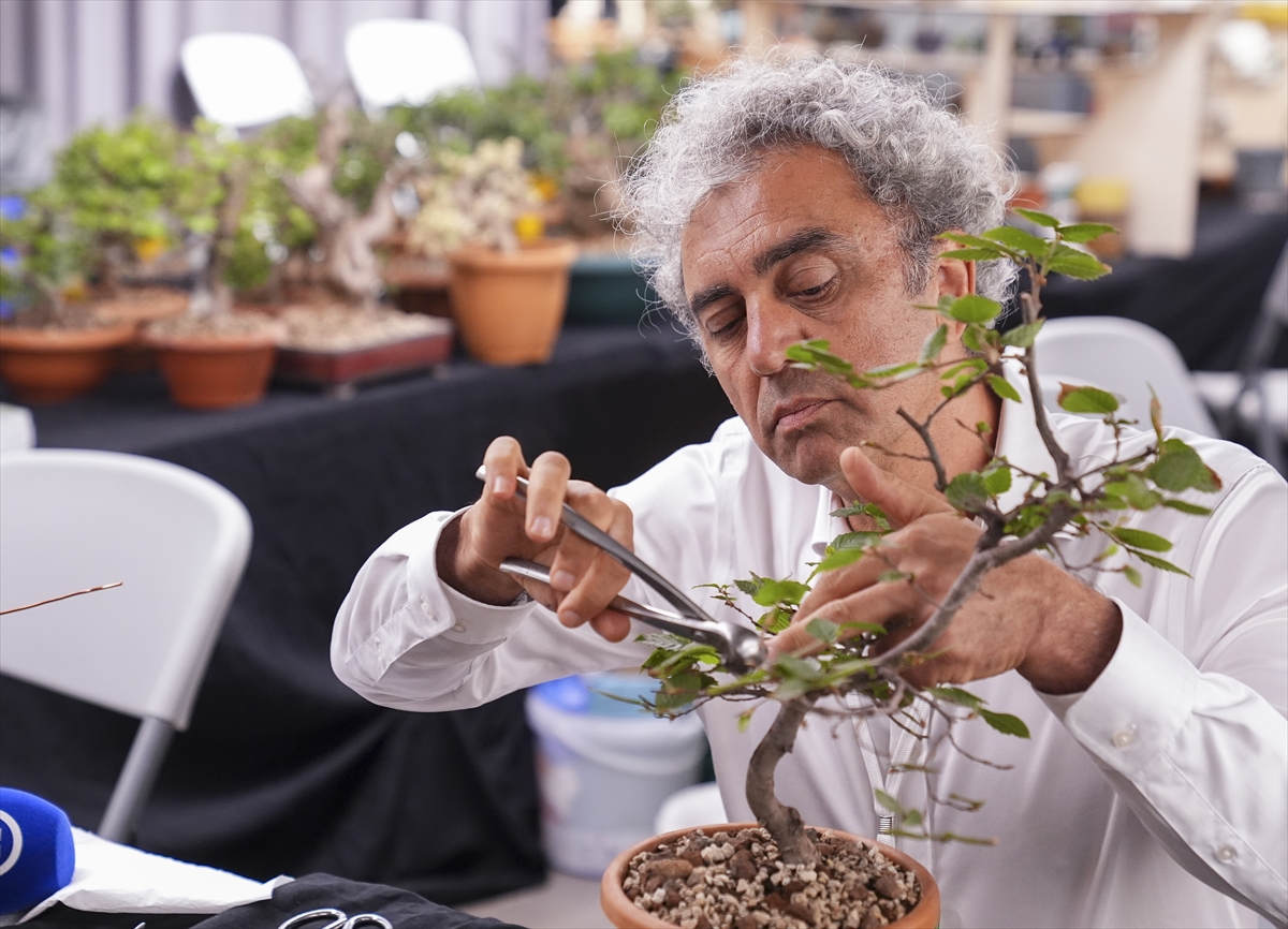 Saksılarda yetişen ağaçları sabırla sanat eserine dönüştürüyorlar