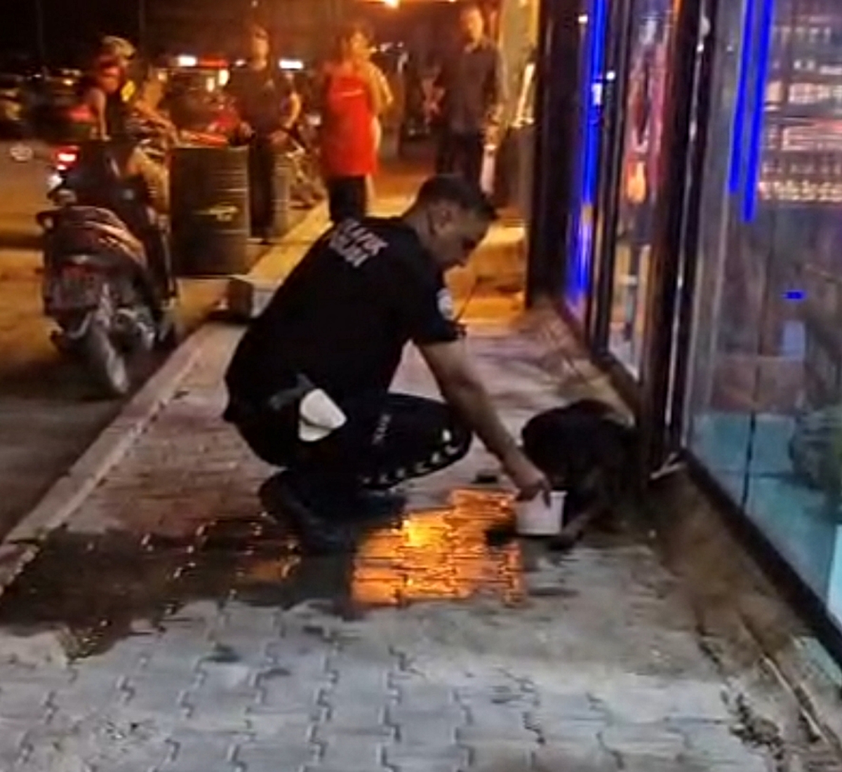 Samandağ'da silahla vurulan sokak köpeği veterinerde