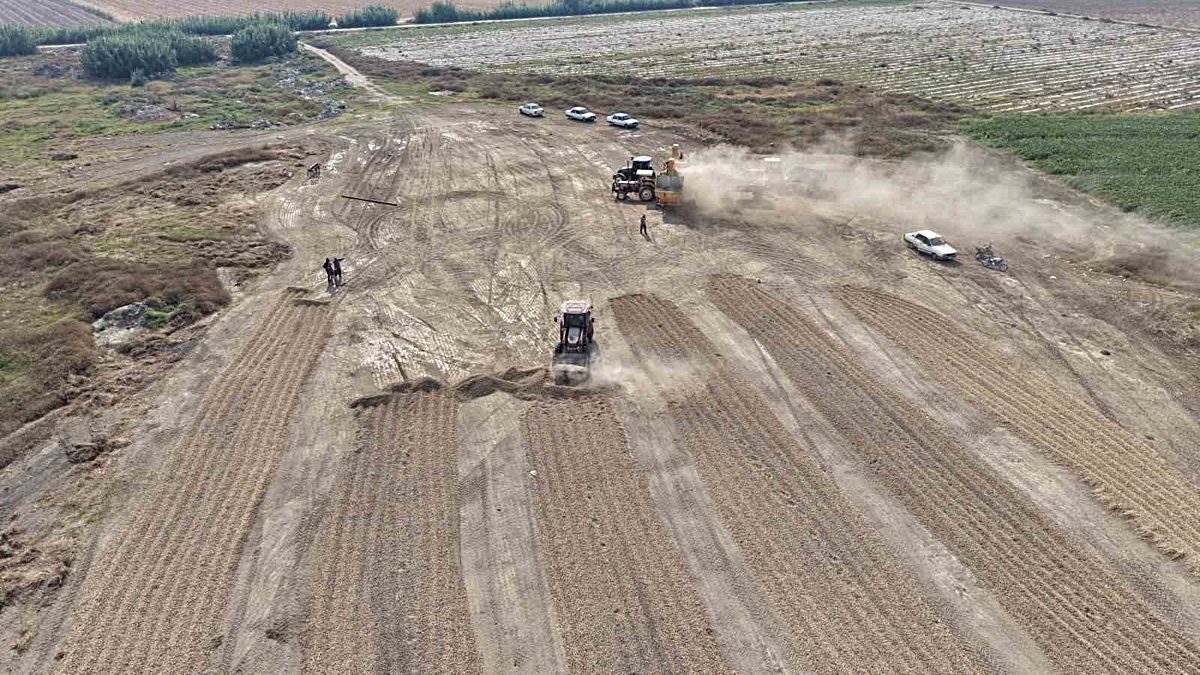 “Tüccar alım yapmıyor, yer fıstığında fiyat düşüyor”