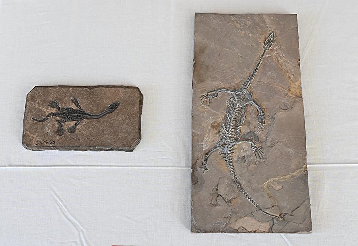 ABD, Çin'e ait 64 kültürel eser ve paleontolojik fosili iade etti