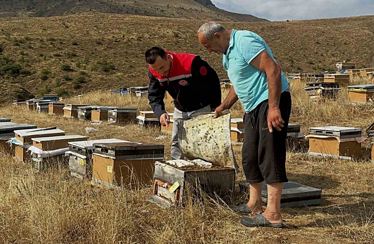 Aydıntepe’de 2026 yılı arılı kovan tespitleri başladı