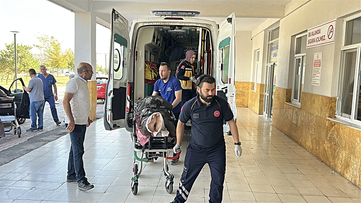 Ayı saldırısına uğrayan çoban yaralandı