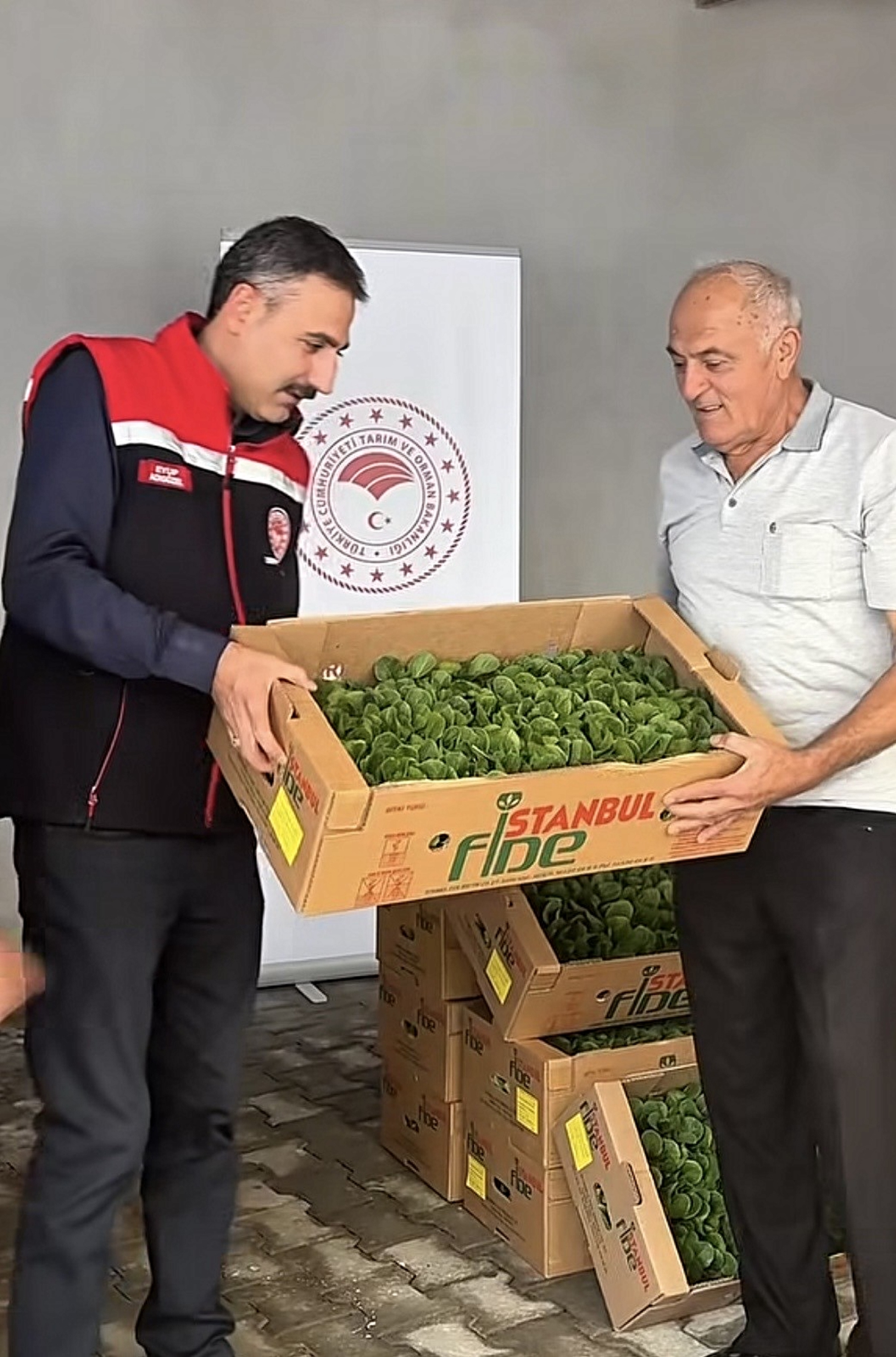 Burdur’da üreticilere 164 bin 500 marul fidesi dağıtıldı