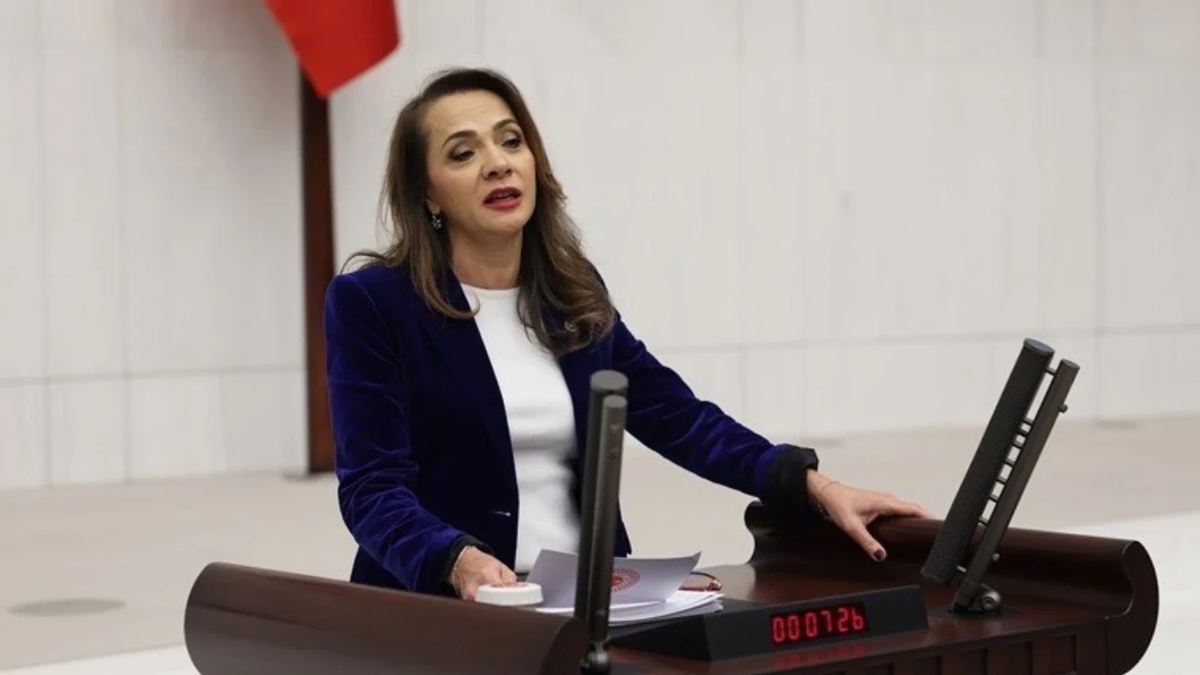 CHP'li İlgezdi, köprü ve otoyolların özelleştirilmesini Bakanı Şimşek'e sordu