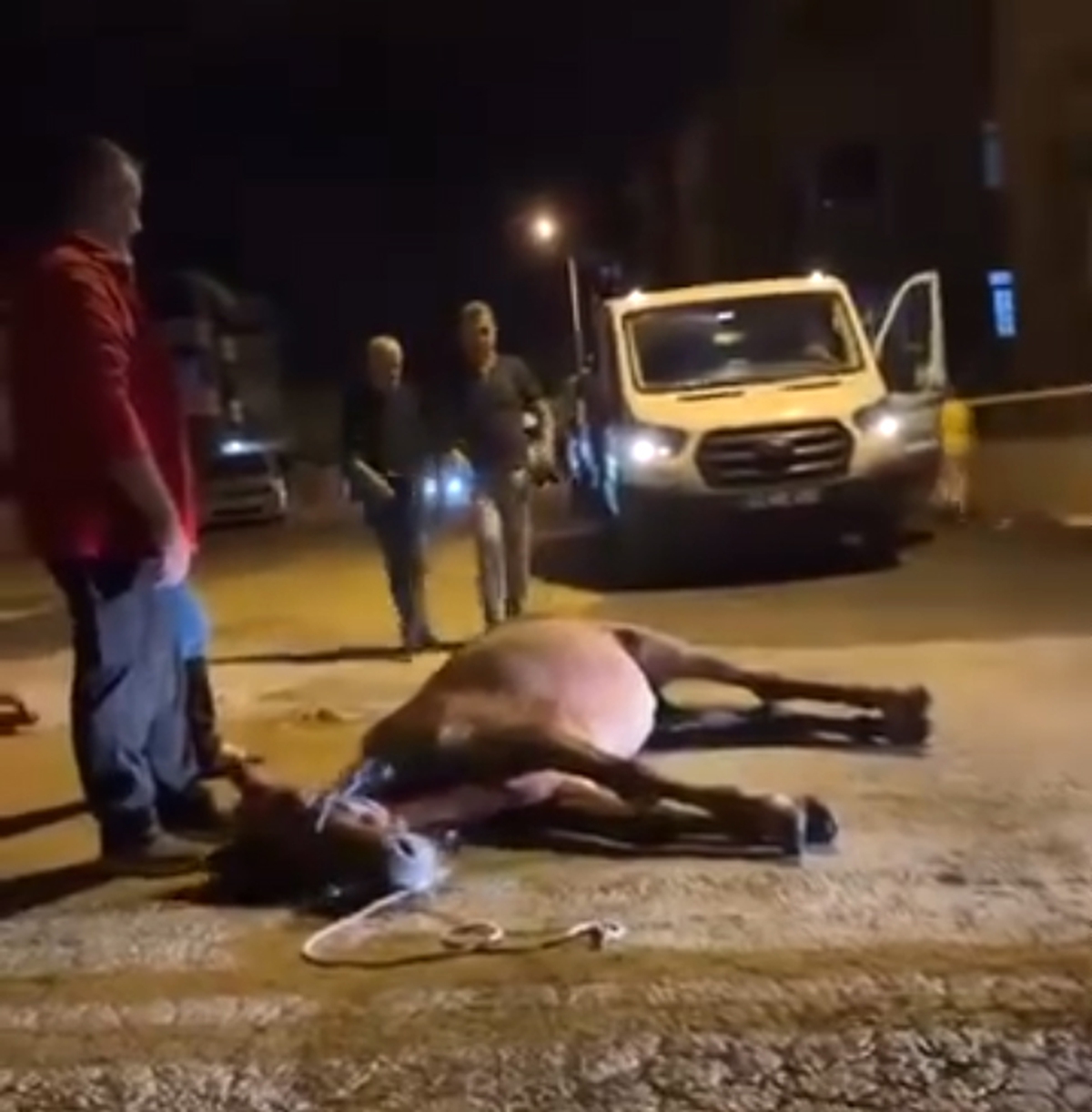 Edirne Keşan'da ata şiddet uyguladıkları öne sürülen 2 şüpheli gözaltına alındı