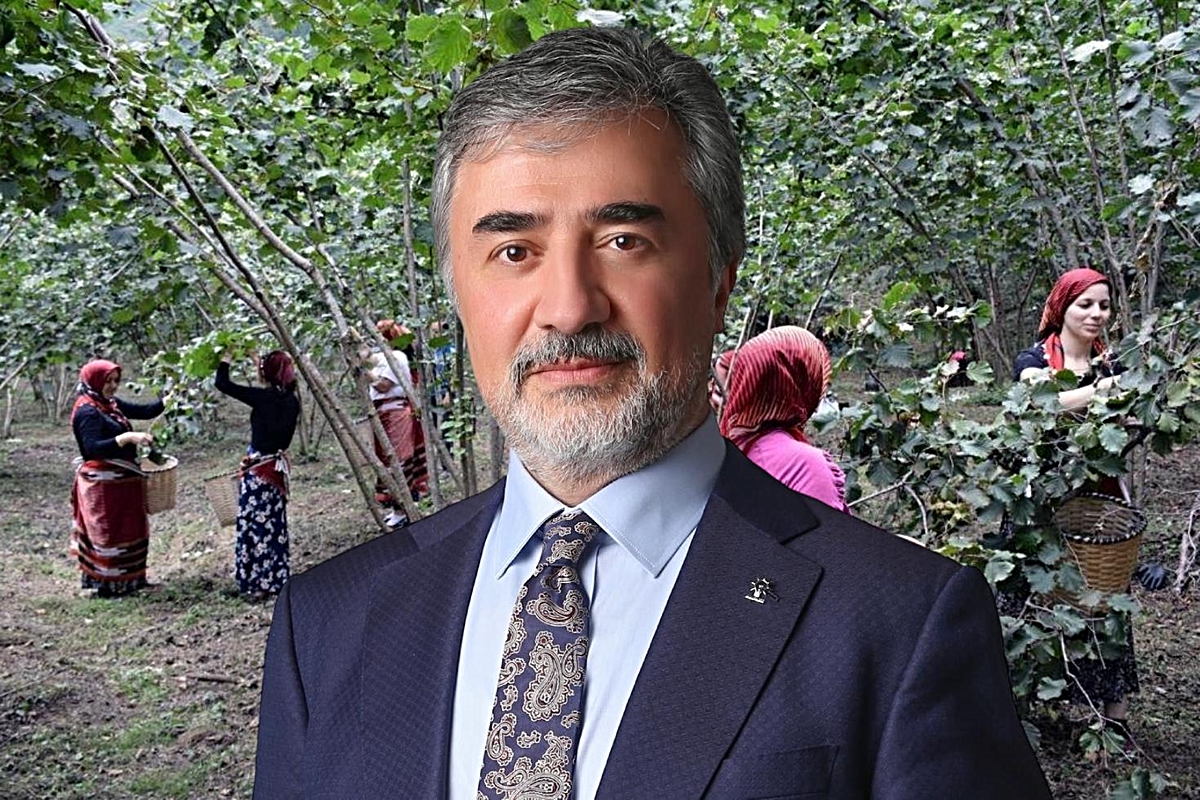 Hamarat’tan ihracatçı ve tüccarlara fındık fiyatı çağrısı: Üreticinin emeğini gözetin
