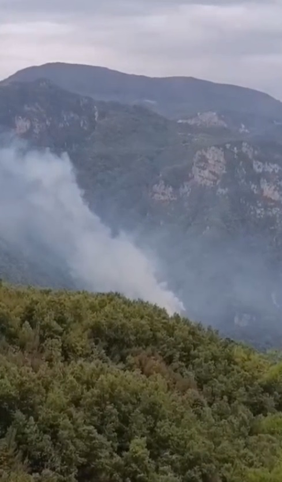 Hatay'da orman yangını