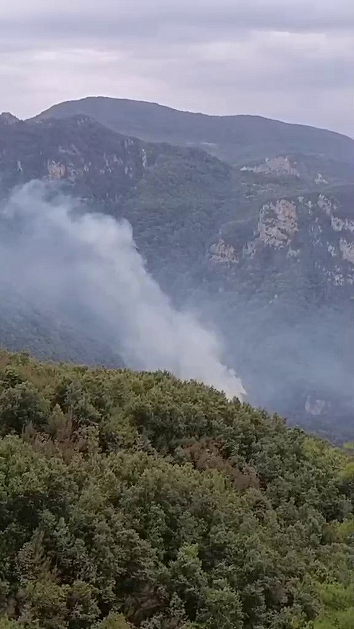 Hatay’da orman yangını: Ekiplerin müdahalesi başladı