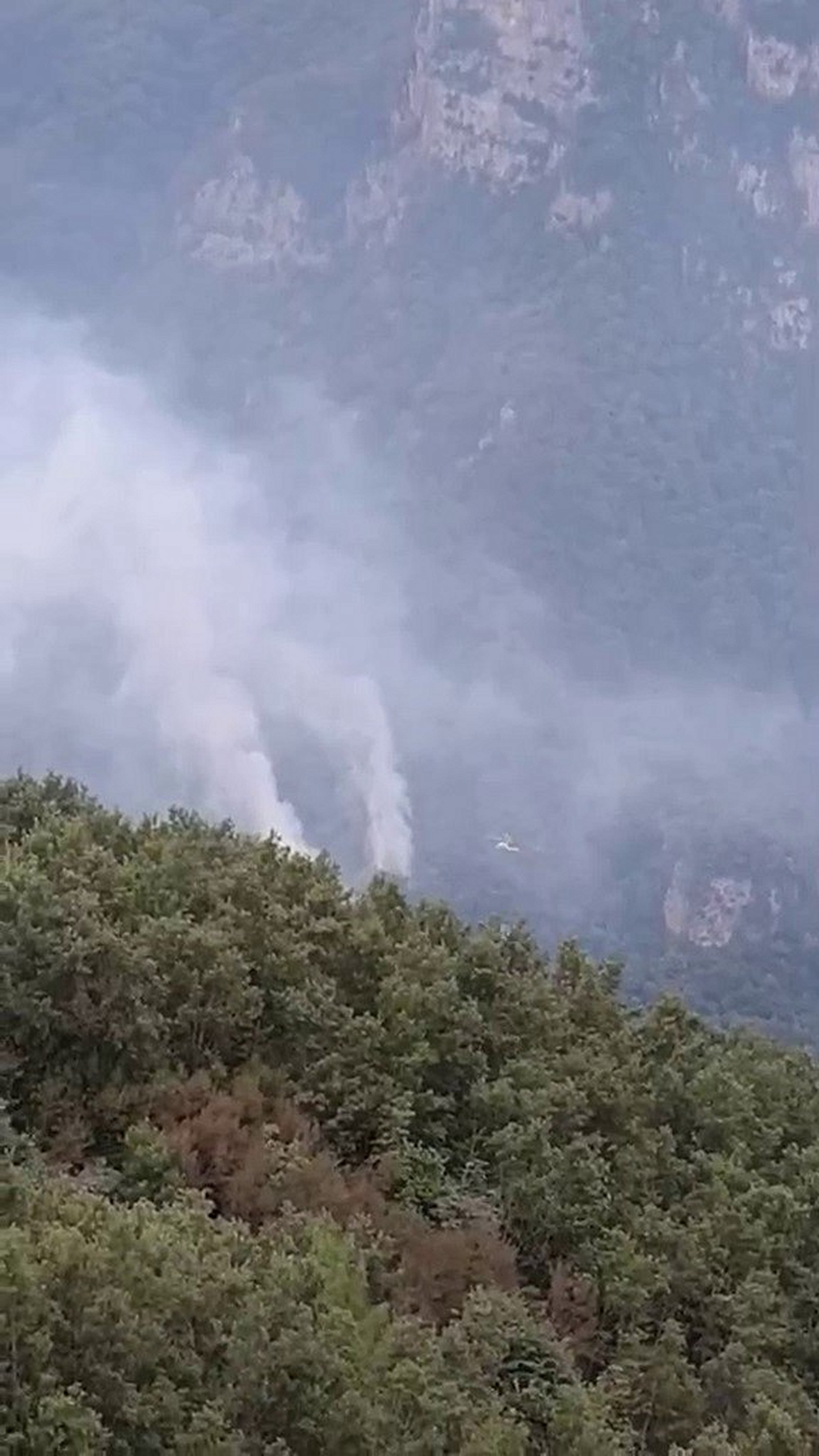 Hatay’daki orman yangınının enerjisi düşürüldü