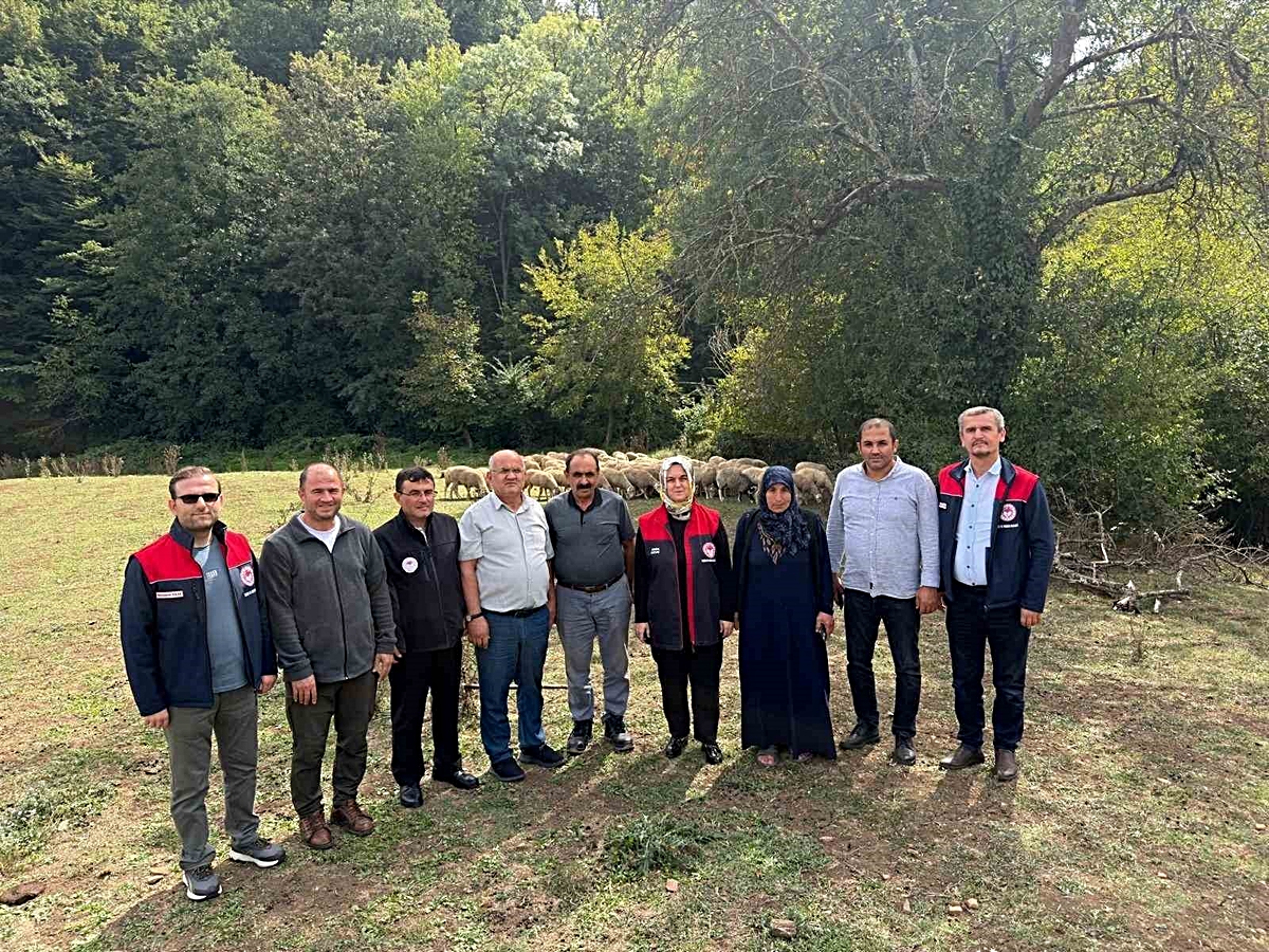 Kırsalda bereket, küçükbaşa destek