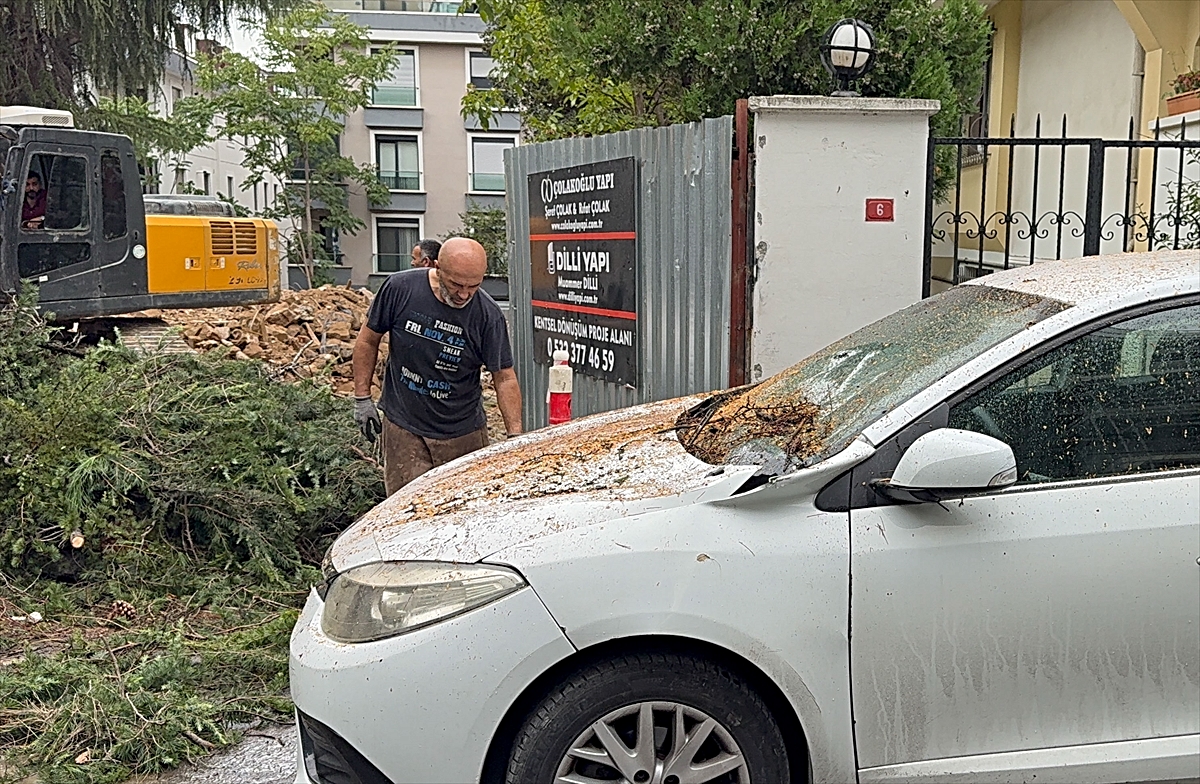 Maltepe'de kesilen ağacın iki aracın üzerine devrilmesi kamerada