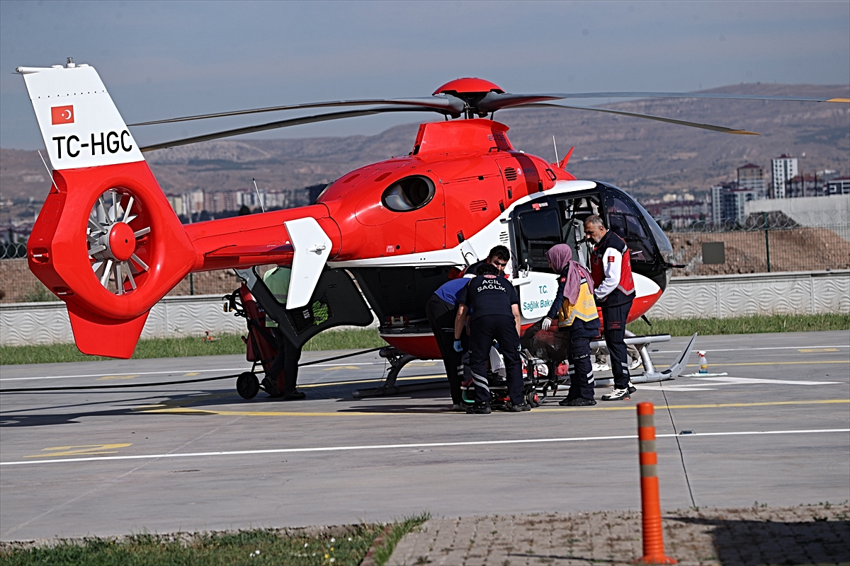 Sivas'ta ayı saldırısına uğrayan çoban yaralandı