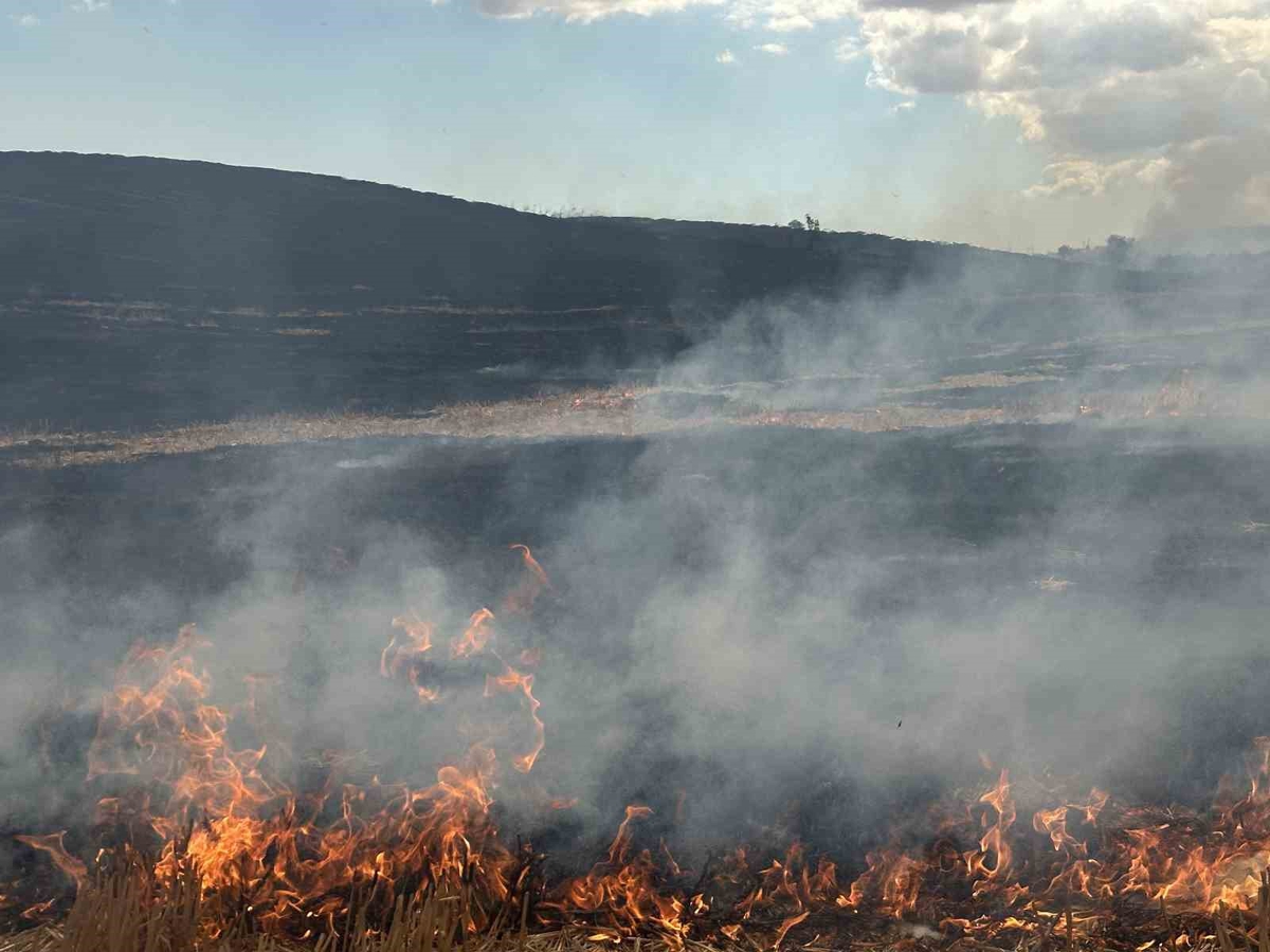 Tekirdağ’da korkutan anız yangını