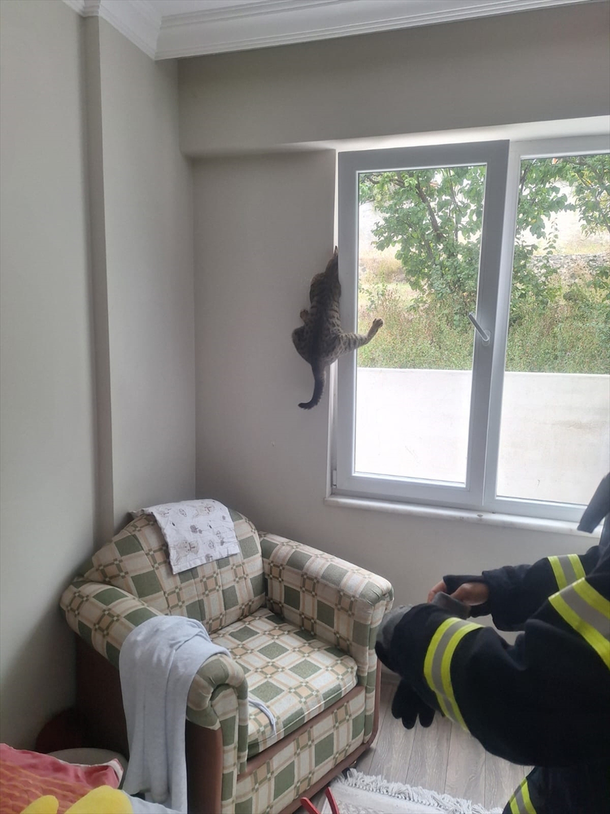 Tokat'ta pencerede sıkışan kedi itfaiye ekiplerince kurtarıldı