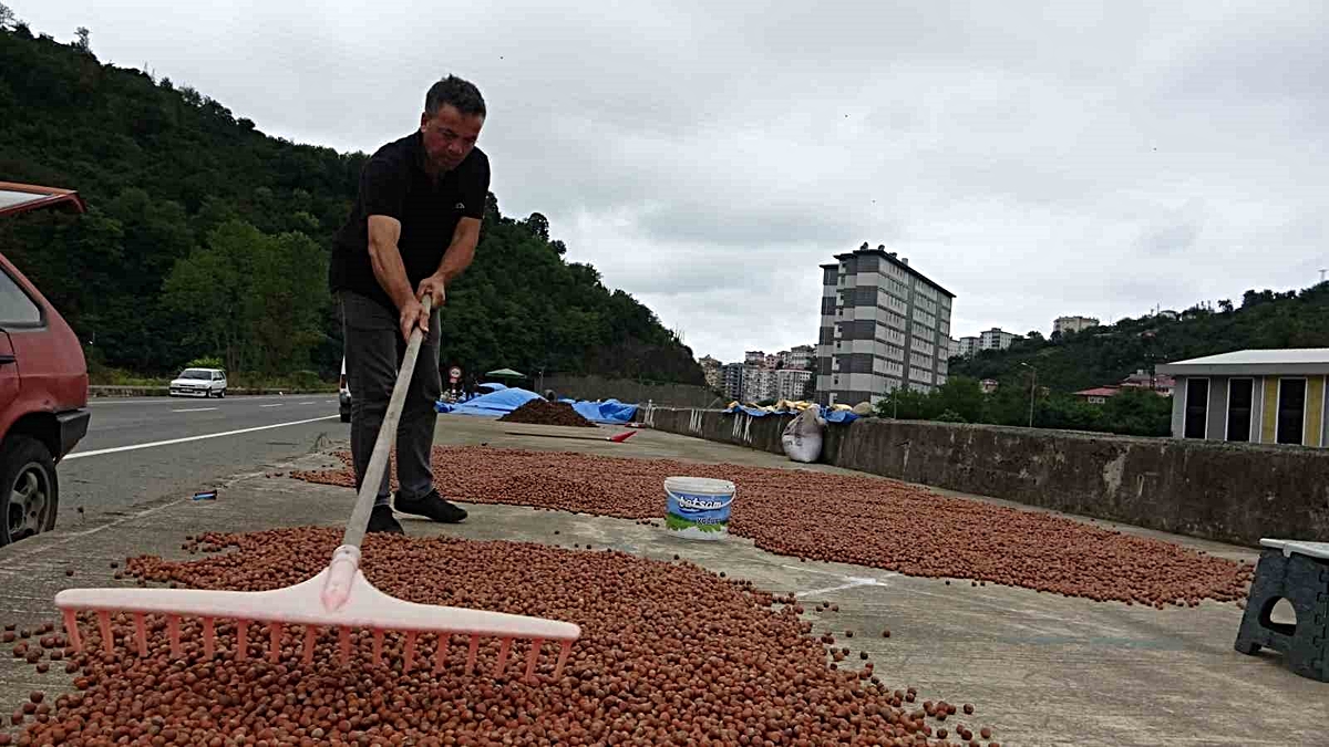 Üretici serbest piyasada 190 lirayı görünce TMO’ya yöneldi