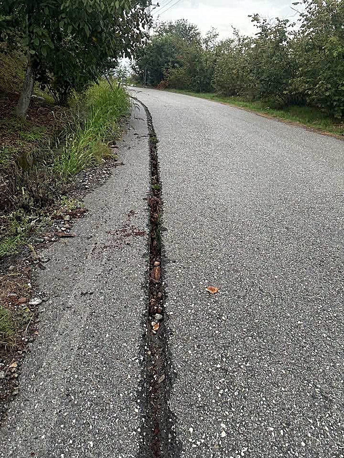 Zonguldak Alaplı’da fiber kazısı kapatılmadı iddiasıyla köylü yetkililere çağrı yaptı