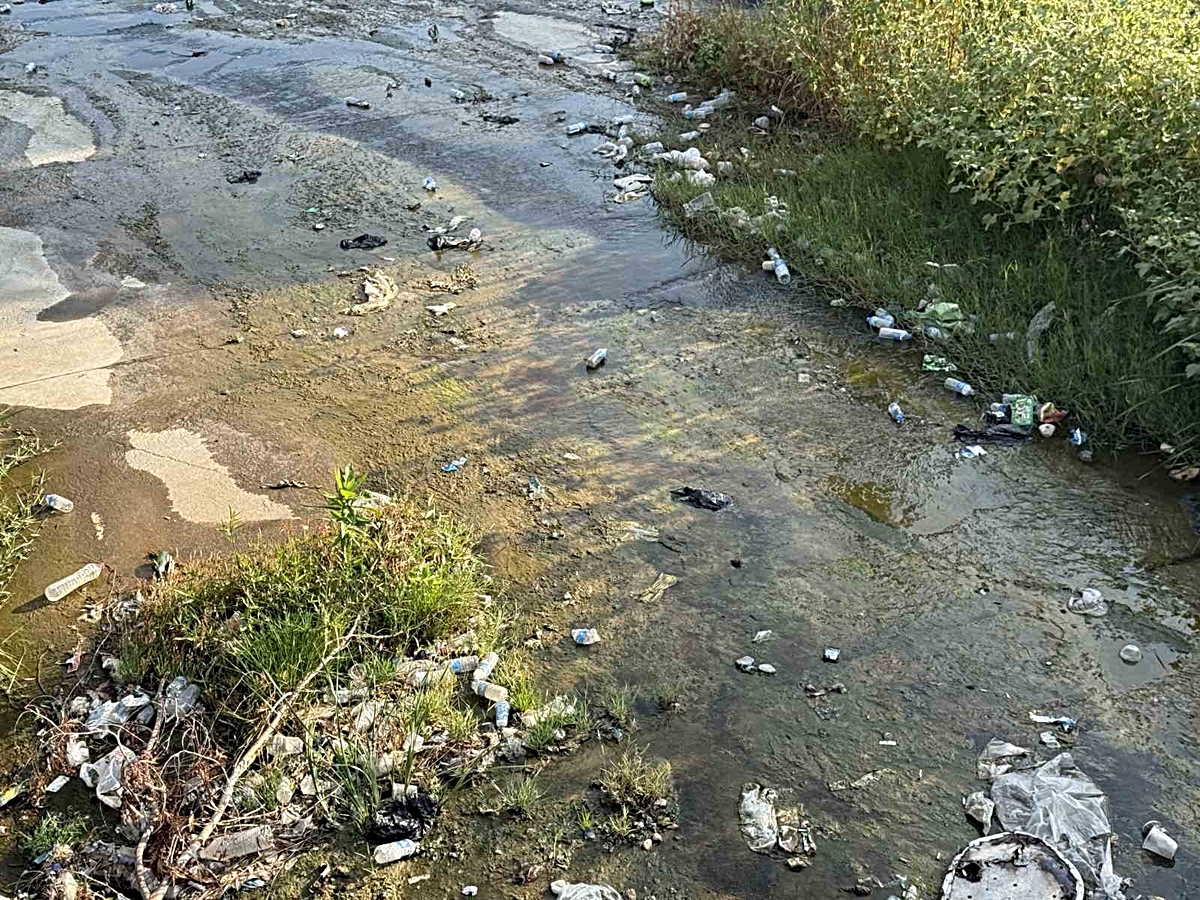 Aydın Efeler'de Tabakhane Deresi'ndeki çöpler çevre kirliliğine yol açtı