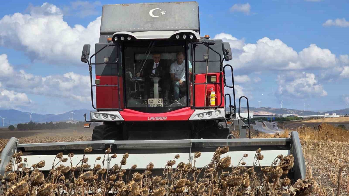 Bandırma Kaymakamı Öztürk, Beyköy'de biçerdöverle ayçiçeği hasadına katıldı