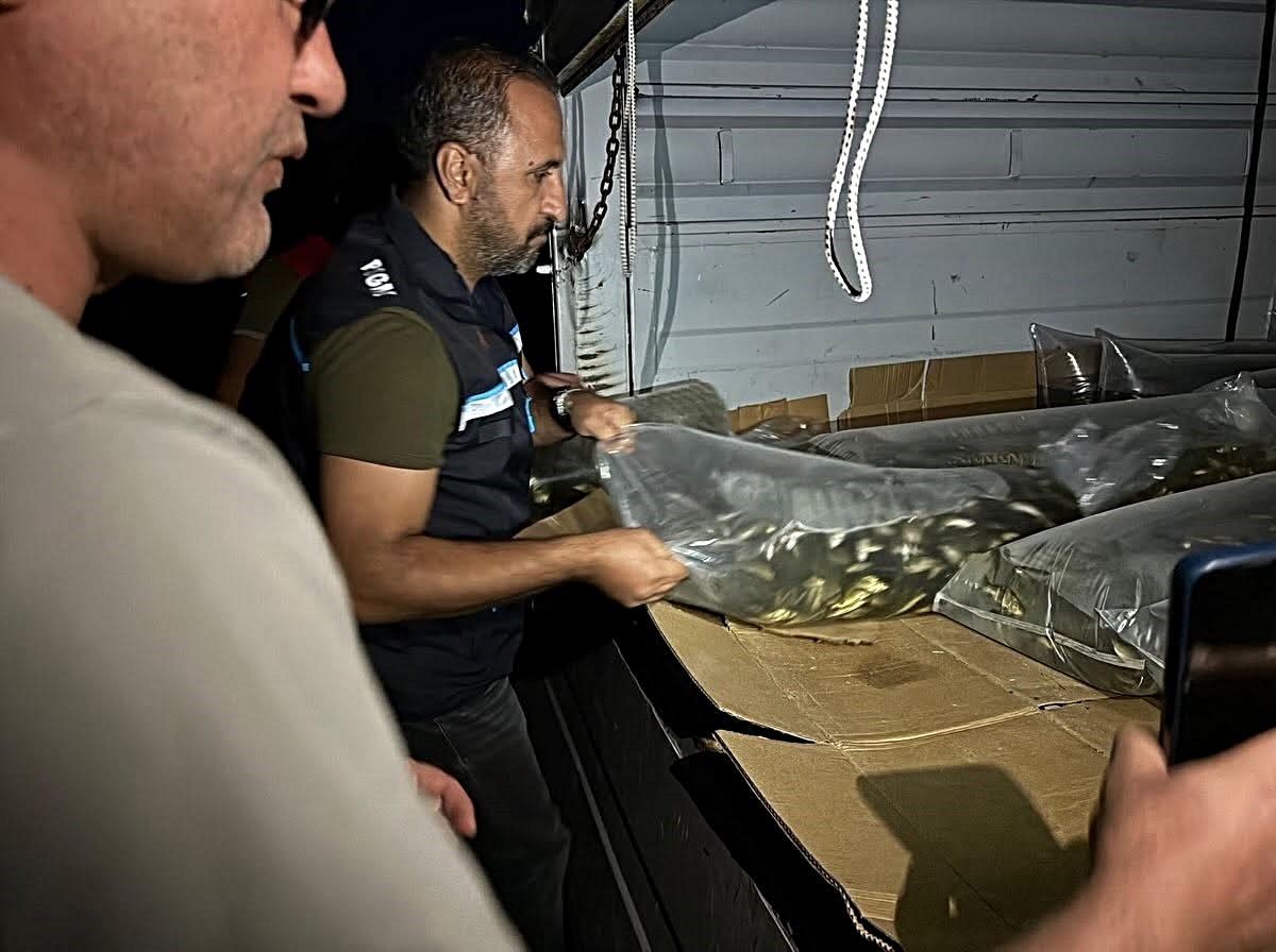 Bitlis’te su kaynakları 1 milyon 397 bin 500 yavru sazanla buluştu