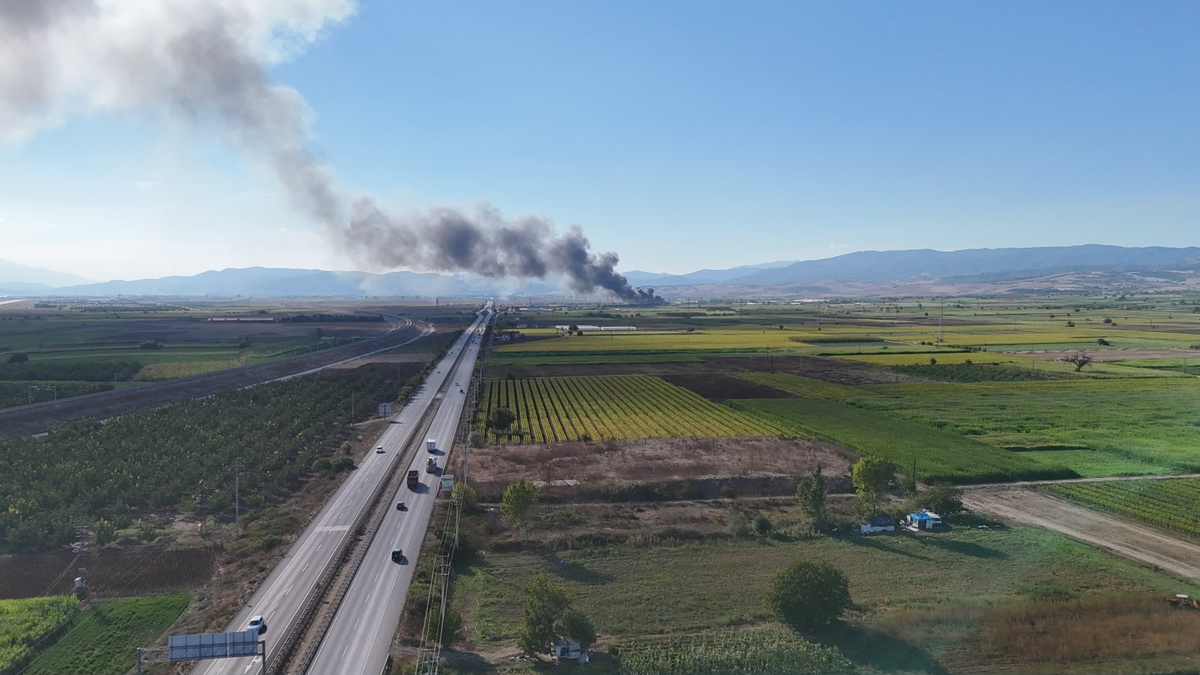 Bursa Yenişehir'de siyah incir deposundaki yangın 2,5 saatte kontrol altına alındı