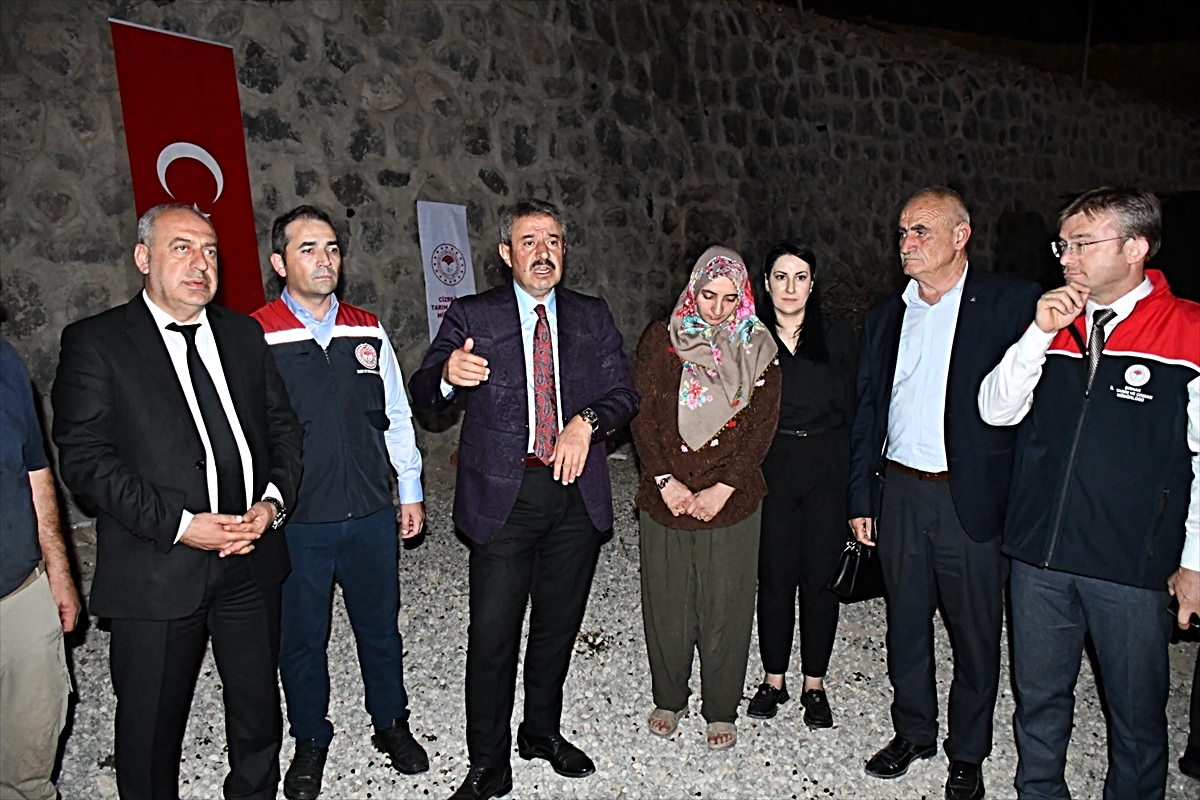 Cizre'de kadın yetiştiriciye 100 koyun teslim edildi, törene AK Parti vekili katıldı