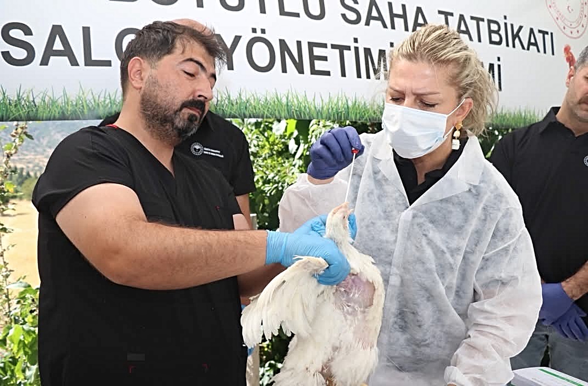 Elazığ'da kuş gribi tatbikatının 4. gününde Küllük köyünde saha uygulaması yapıldı