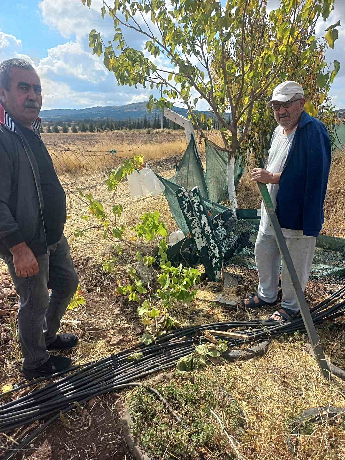 Eskişehir'de bahçe tellerine zarar veren şüphelilerin bulunması isteniyor