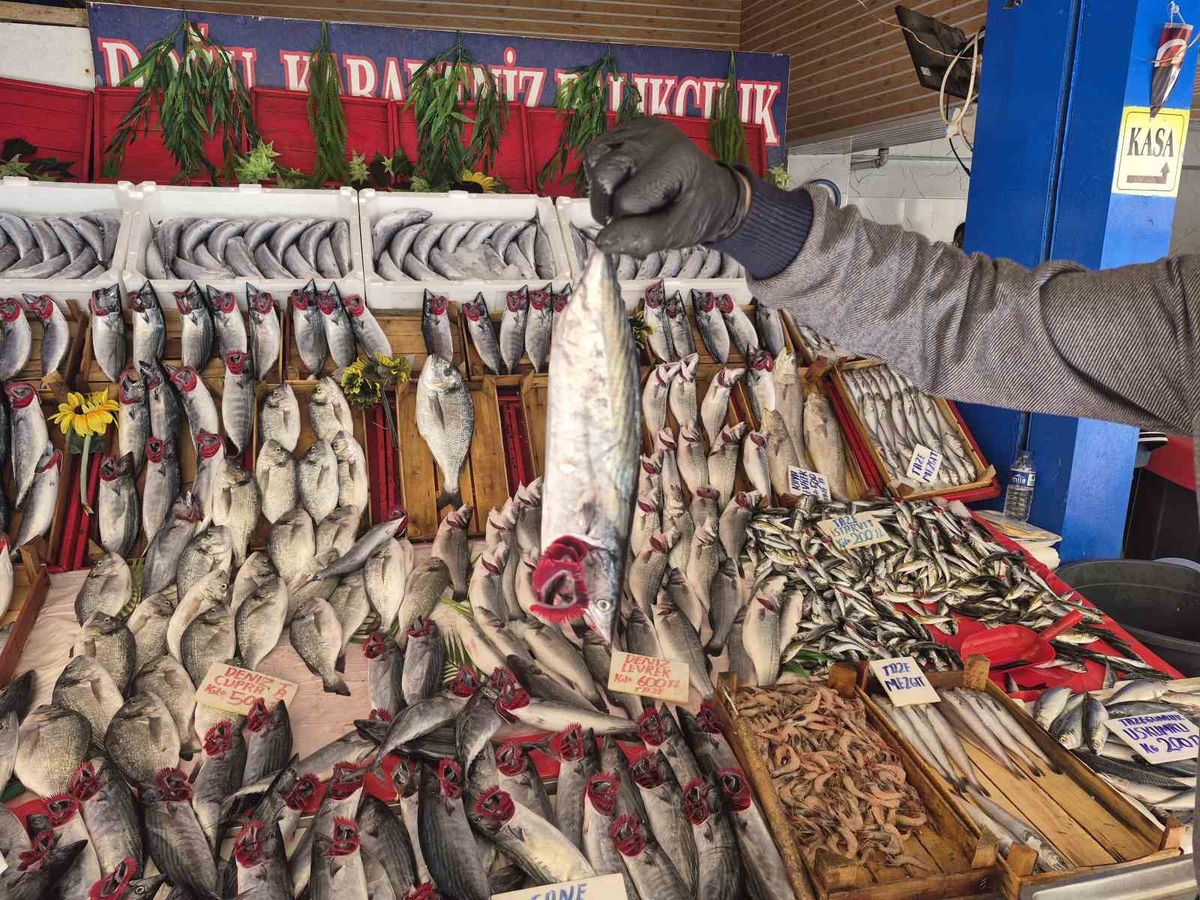 Eskişehir'de palamut bolluğu yaşanıyor, vatandaş hamsi yerine palamudu tercih ediyor