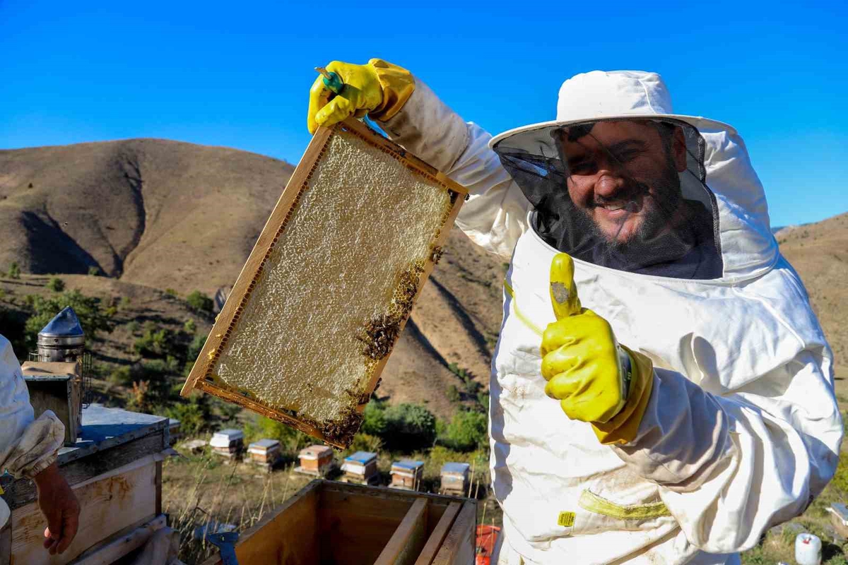 Gümüşhane'de bal sezonu kapandı, rekolte yüzde 40-50 geriledi