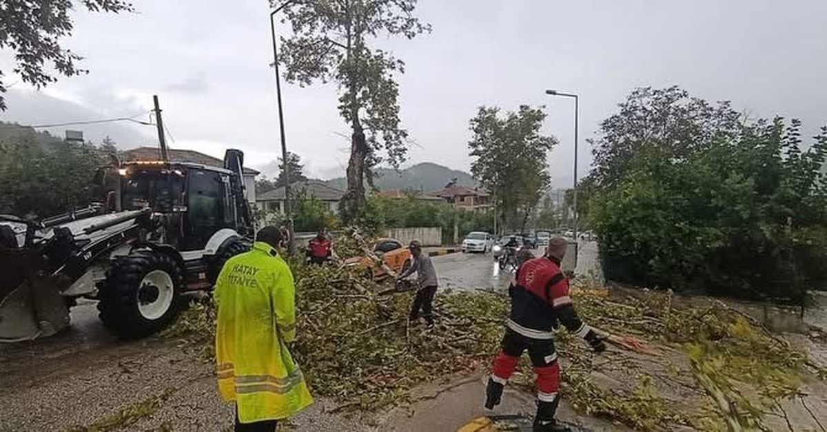Hatay Yayladağı'nda fırtınada park halindeki aracın üzerine ağaç devrildi
