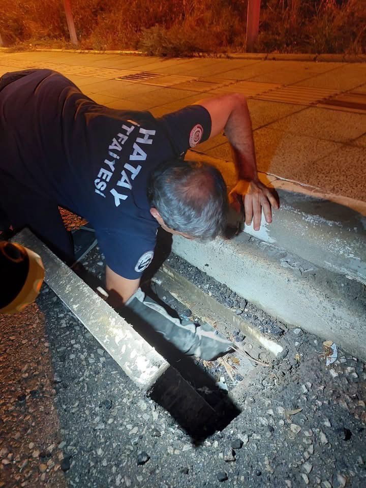 İtfaiye ekipleri Hatay İskenderun'da mahsur kalan hayvanları güvenle kurtardı