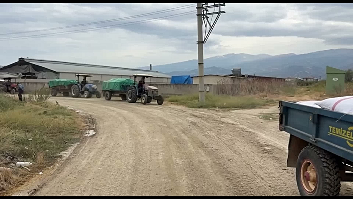Manisa'da üzüm üreticileri TMO'nun alım fiyatlarına tepki gösterdi