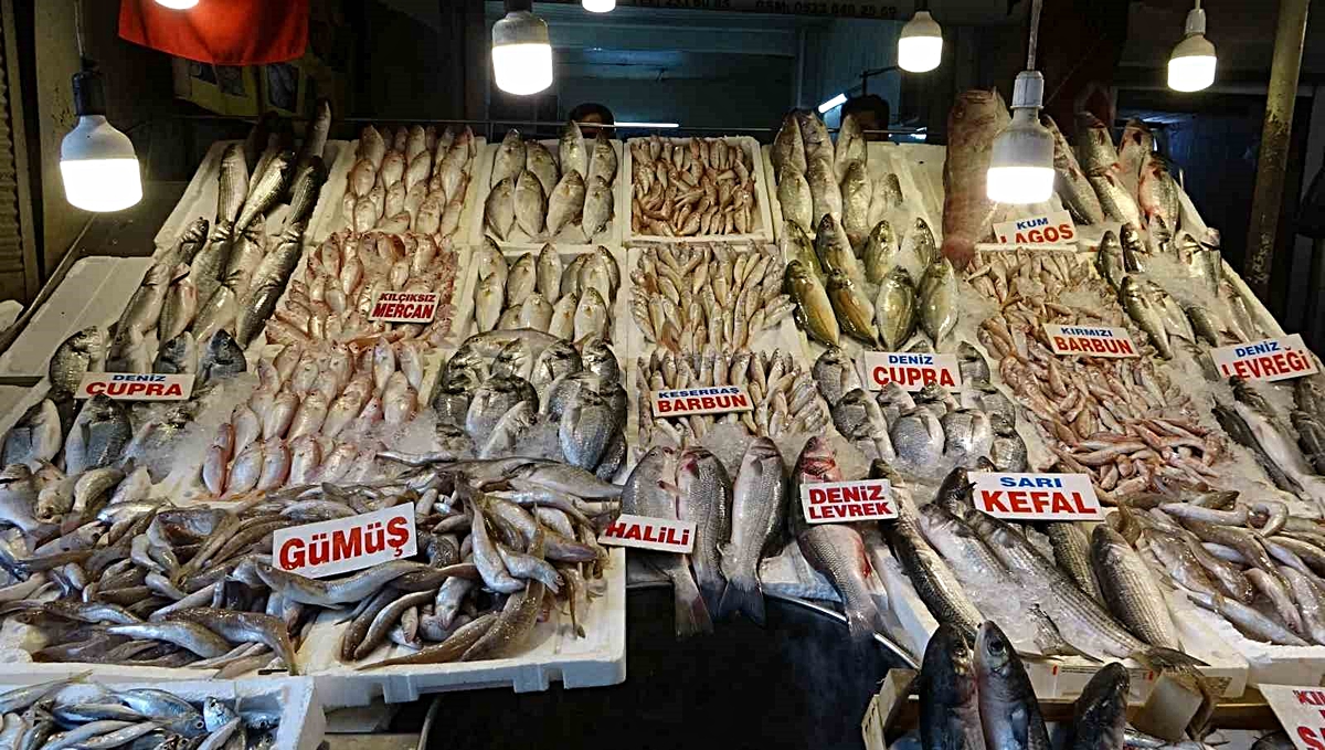 Mersin'de av yasağı kalkınca tezgahlarda bazı balık fiyatları yüzde 50-60 düştü