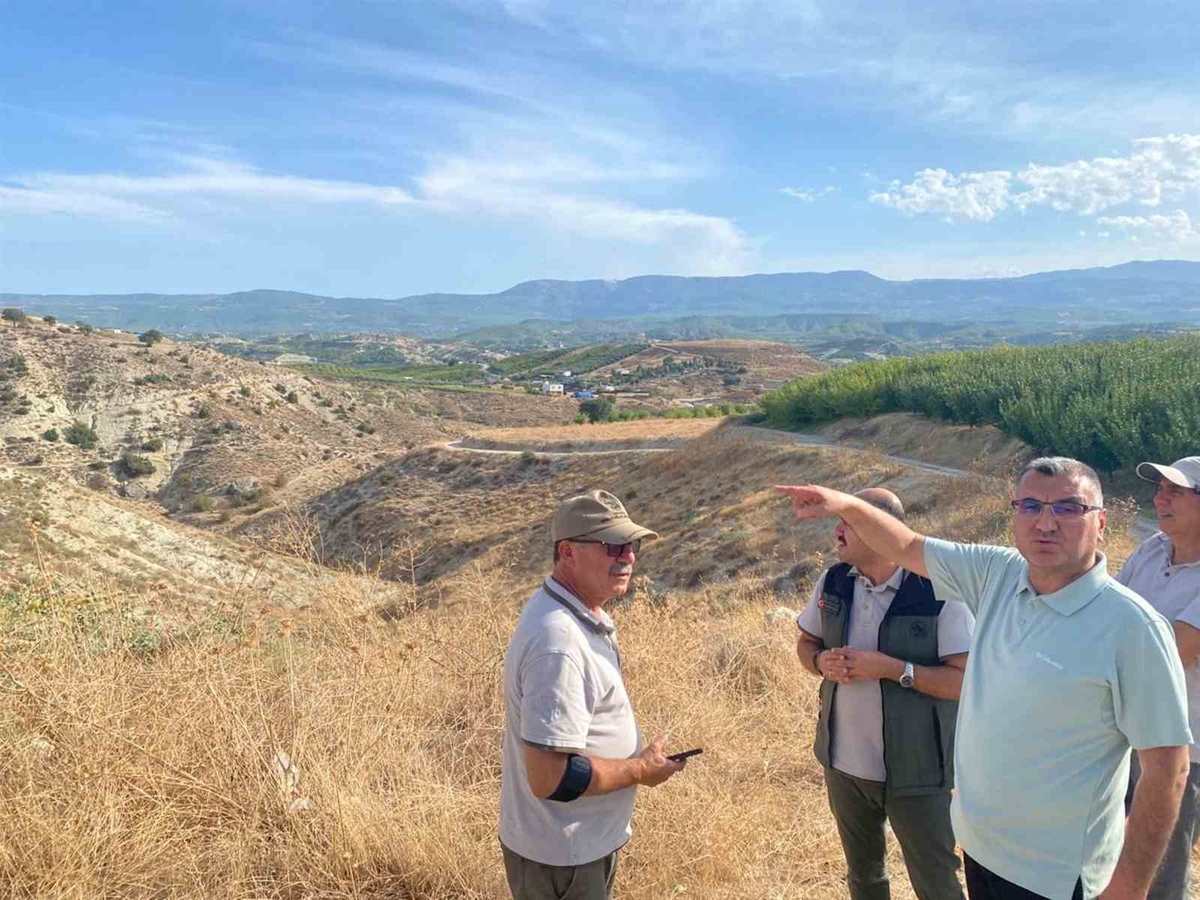 Mersin Mut'ta 475 hektar alanda 62 bin zeytin fidanı toprakla buluşturuldu
