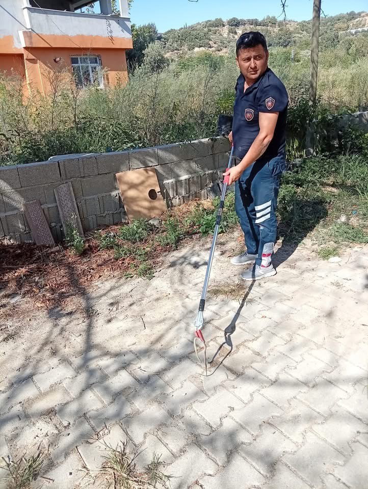 Samandağ'da yerleşim yerinde görülen yılan zarar verilmeden doğaya bırakıldı