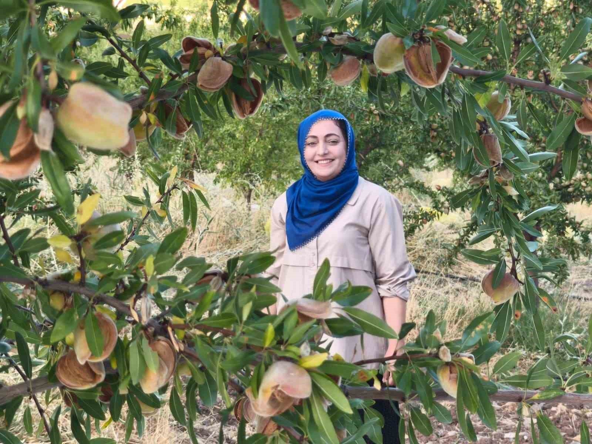 Tunceli Çemişgezek’te Ayşe Balcı, 32 dönüm atıl araziyi badem bahçesine dönüştürdü
