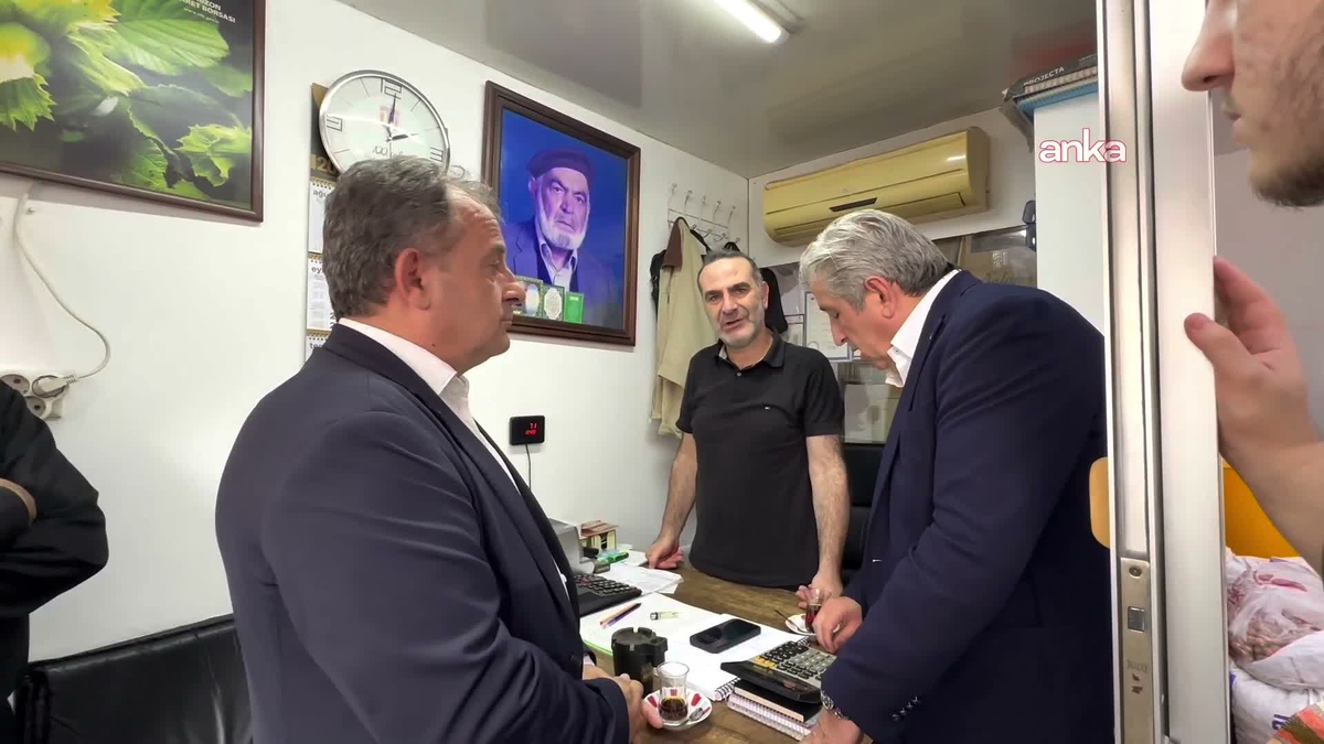 YENİ Parti Milletvekili Çan, bu yıl fındık rekoltesinin 700 bin ton olacağını söyledi