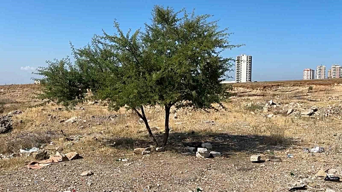 Adana'da boş arazide hareketsiz yatan 35 yaşındaki şahıs ölü bulundu