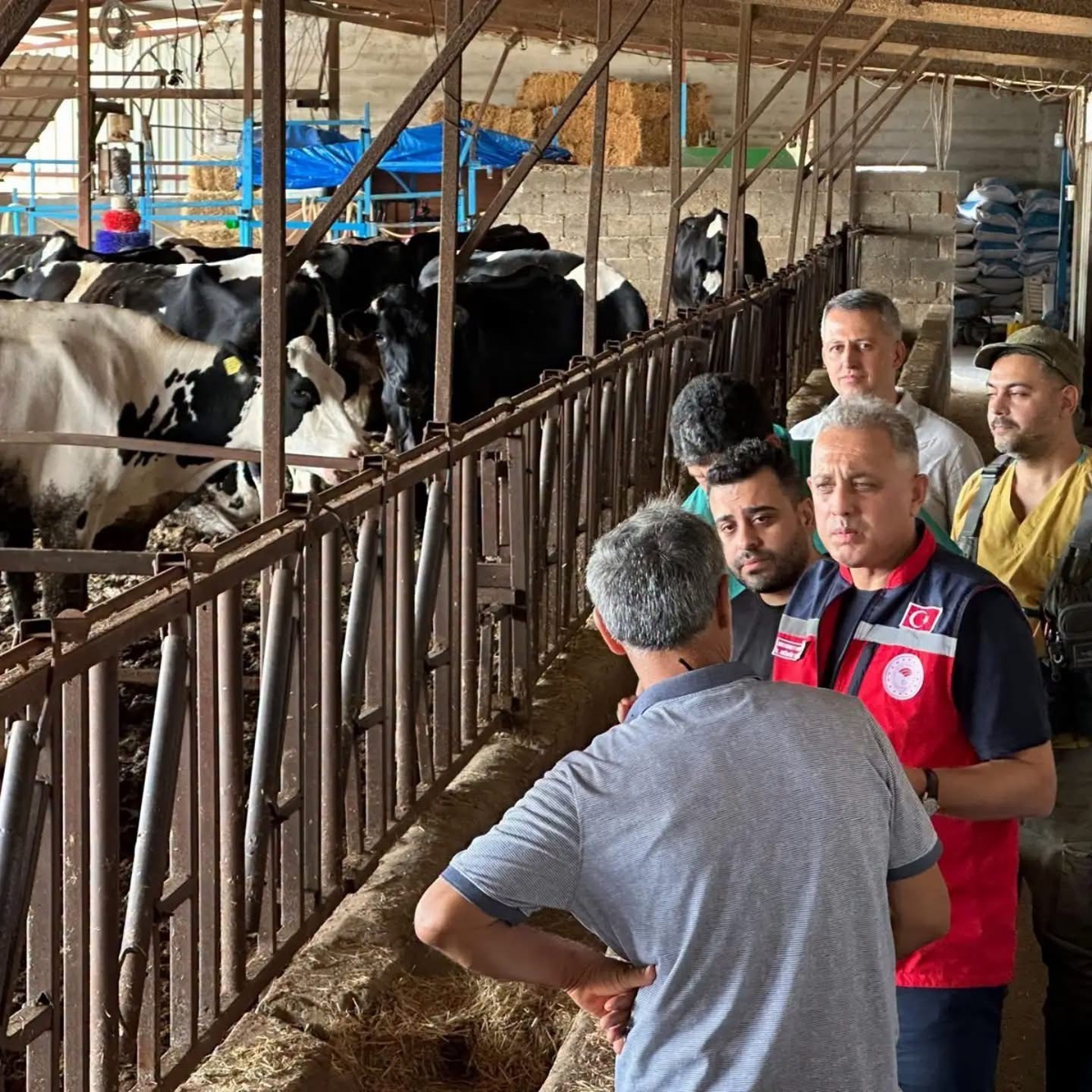 Hatay Altınözü'ndeki hayvancılık işletmesine Hastalıktan Ari İşletme Modeli anlatıldı