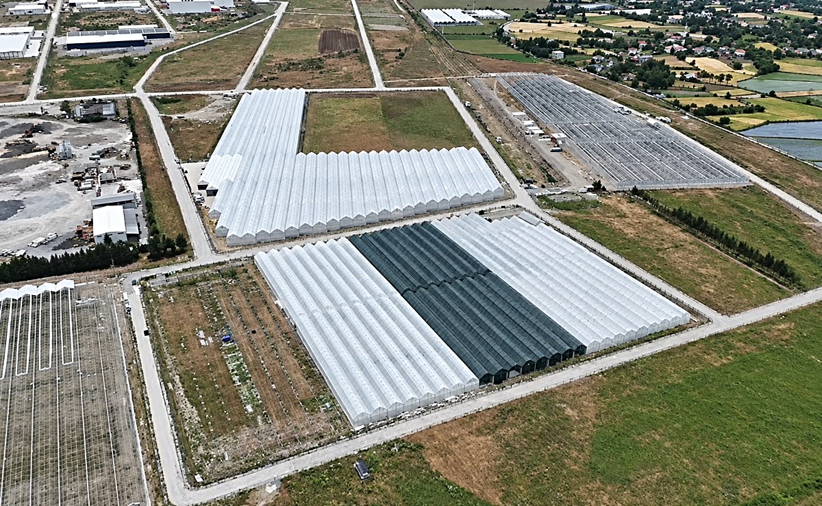 Samsun-Bafra Sera Organize Tarım Bölgesi'nde 8 firma üretime başladı