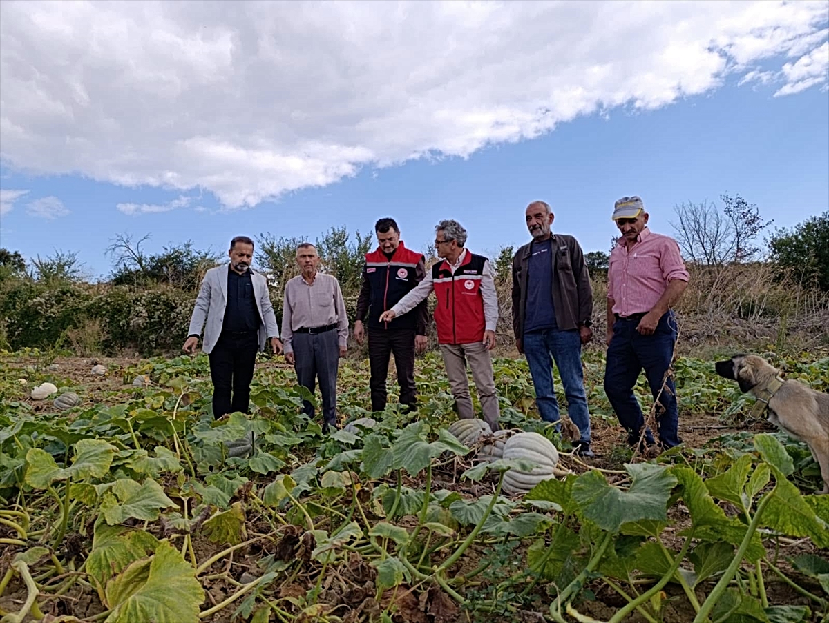 Tekirdağ İl Tarım ve Orman Müdürü Aksoy, bal kabağı üreticisini ziyaret etti