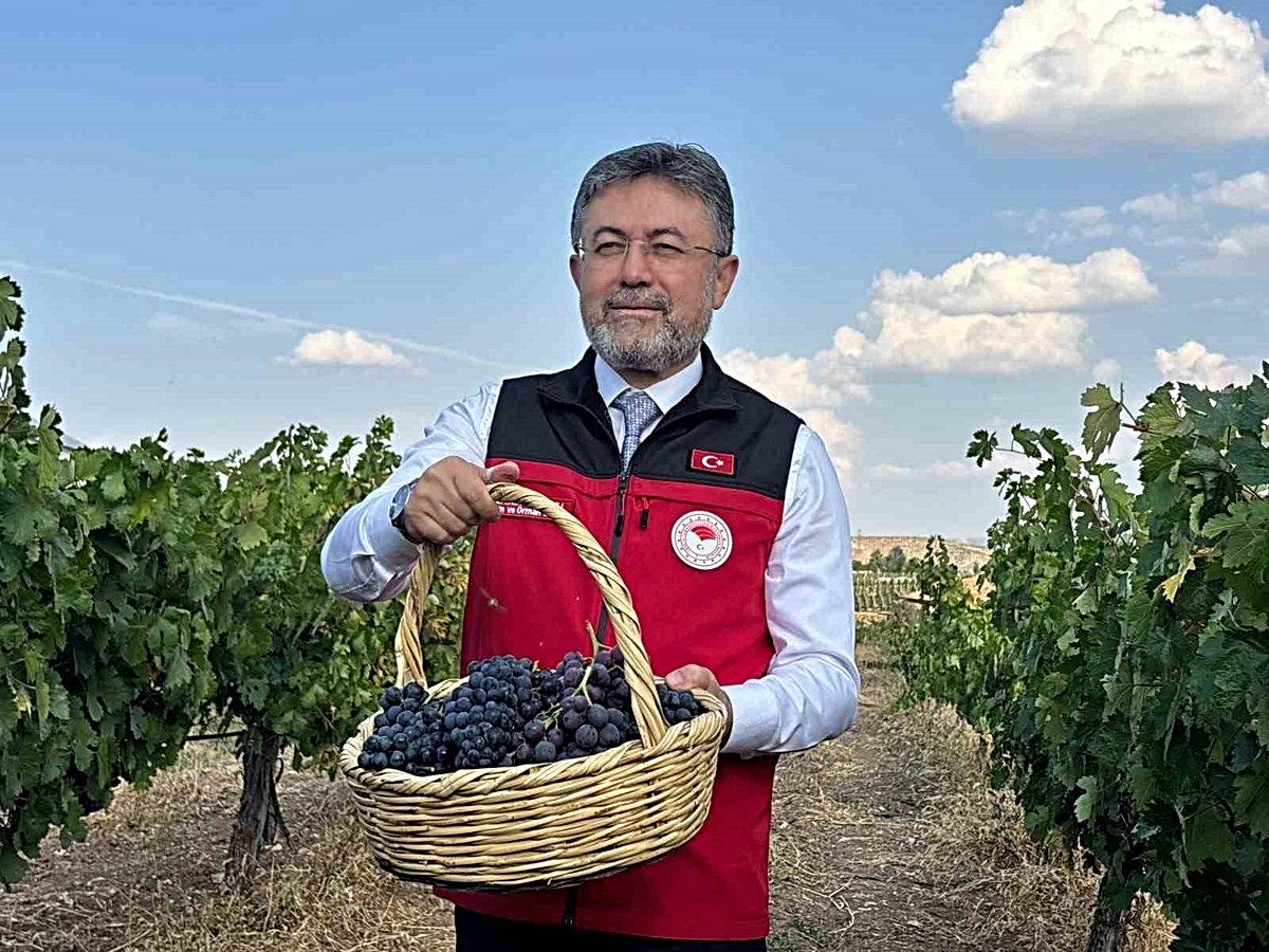 Bakan Yumaklı, bu yıl üzüm üretiminin 3 milyon 850 bin tona ulaşacağını açıkladı