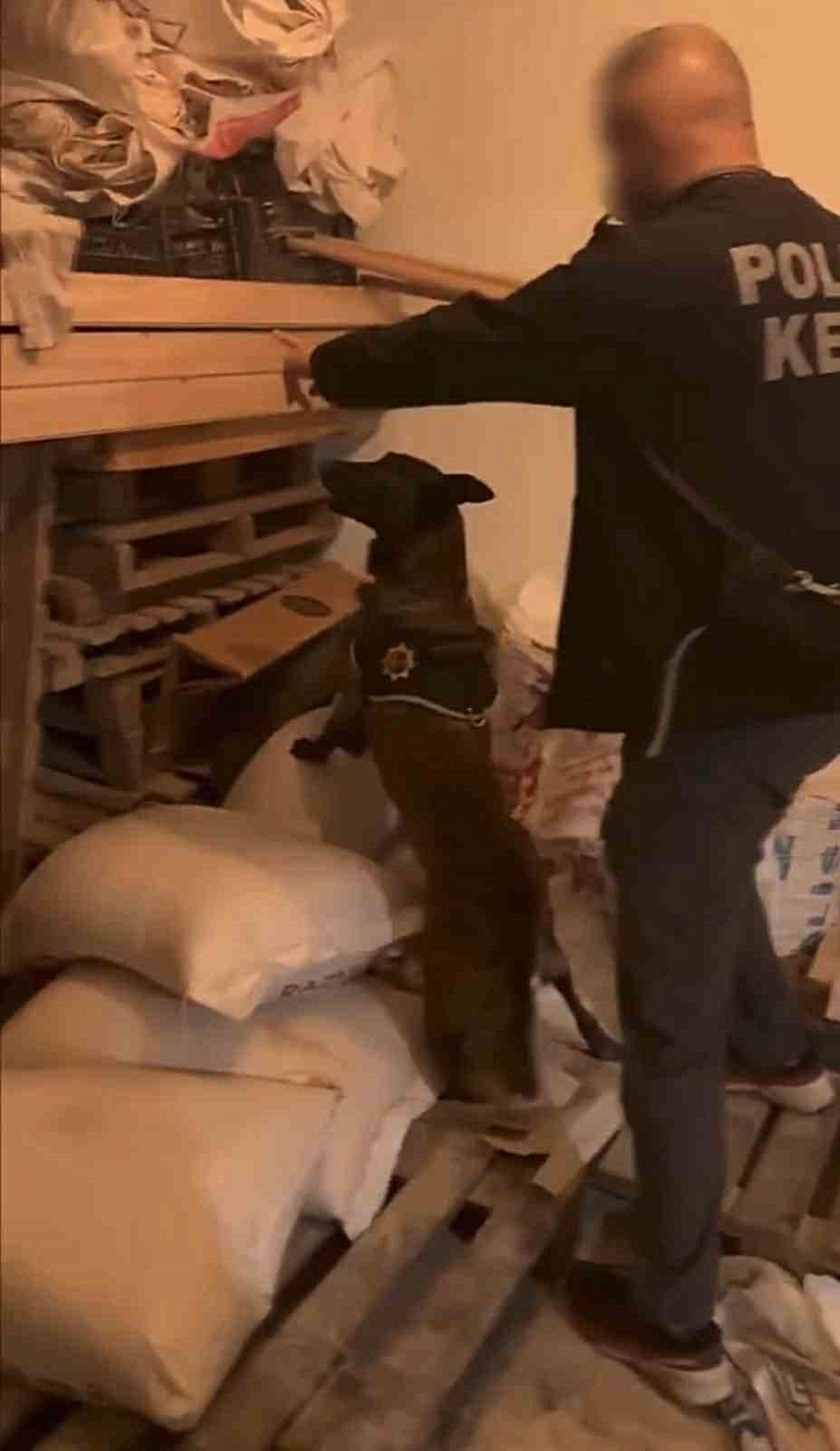 Bingöl’de narkotik operasyonda 39,47 gram esrarla yakalanan 1 şüpheli tutuklandı