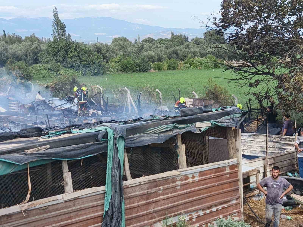 Burhaniye'de katı atık yangını ahıra sıçradı, itfaiye 2 saatte söndürdü