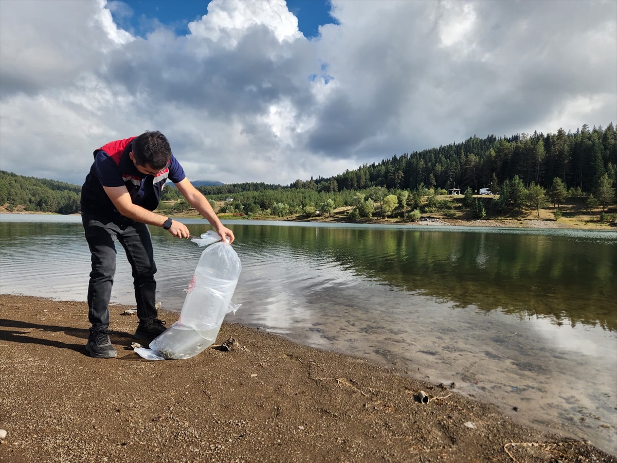 Kastamonu merkezi ile 6 ilçedeki göletlere 800 bin sazan yavrusu salındı