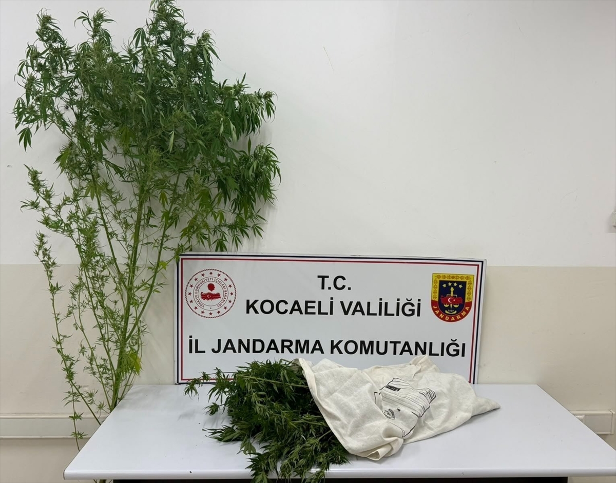 Kocaeli Kartepe'de 3 kilo 750 gram esrar ele geçirildi, 1 şüpheli tutuklandı