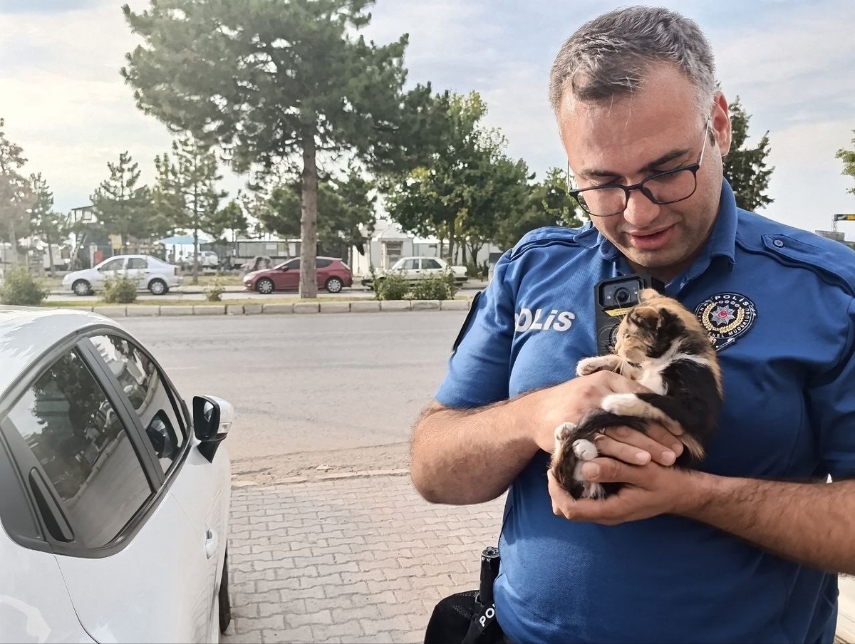 Konya Beyşehir'de motor bölümüne giren yavru kedi telefon sesiyle kurtarıldı